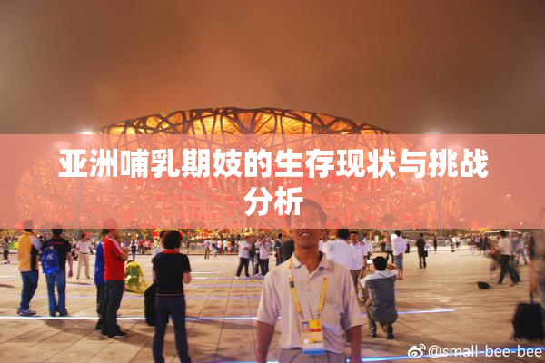 亚洲哺乳期妓的生存现状与挑战分析