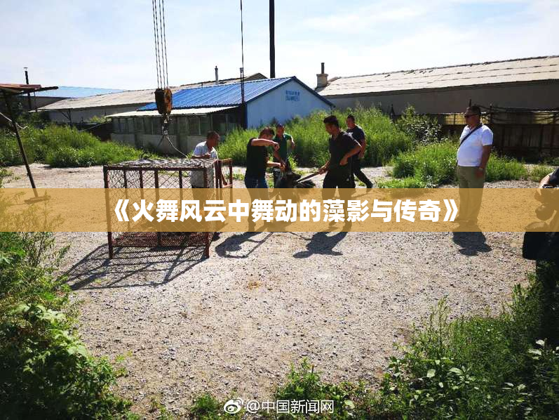 《火舞风云中舞动的藻影与传奇》