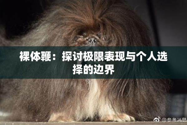 裸体鞭：探讨极限表现与个人选择的边界