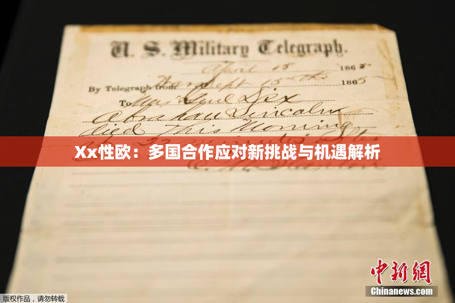 Xx性欧：多国合作应对新挑战与机遇解析