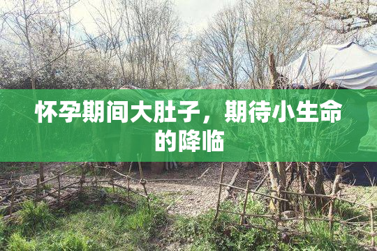 怀孕期间大肚子，期待小生命的降临