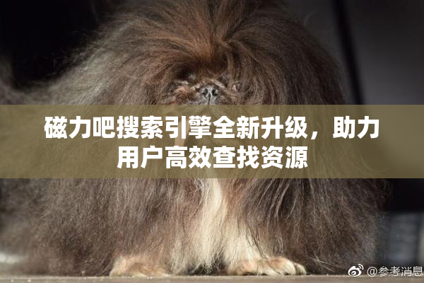 磁力吧搜索引擎全新升级，助力用户高效查找资源