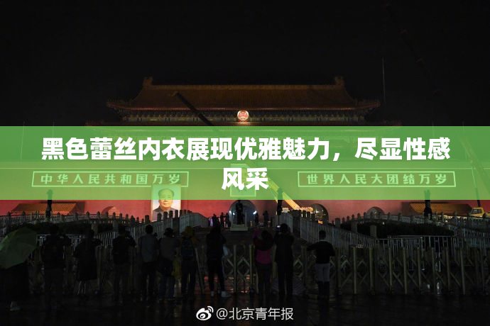 黑色蕾丝内衣展现优雅魅力，尽显性感风采