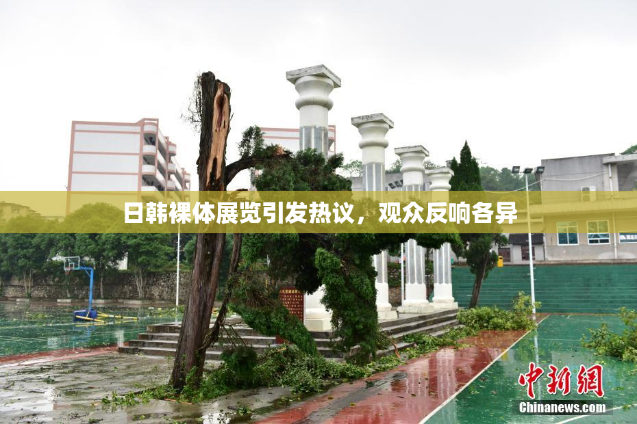 日韩裸体展览引发热议，观众反响各异