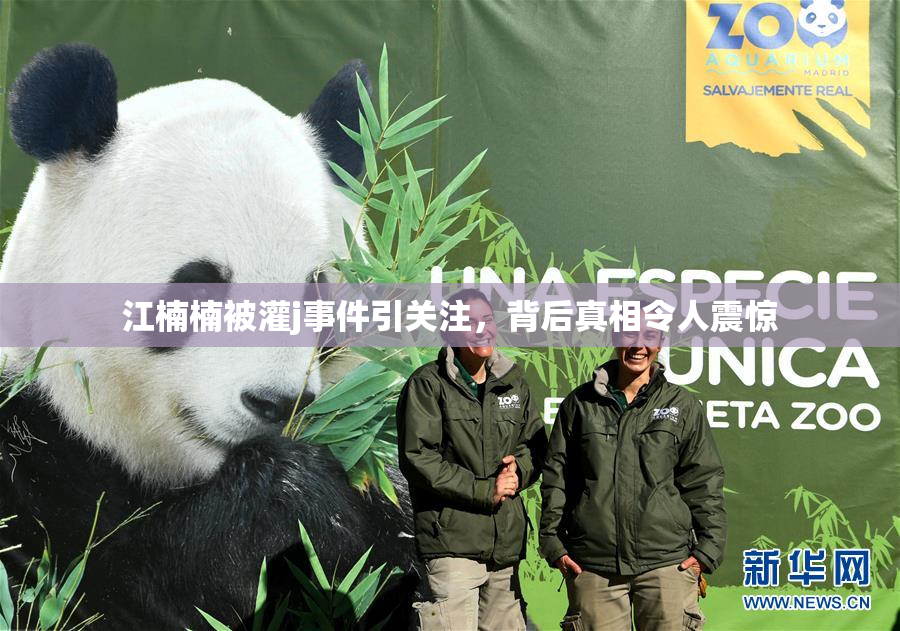 江楠楠被灌j事件引关注，背后真相令人震惊