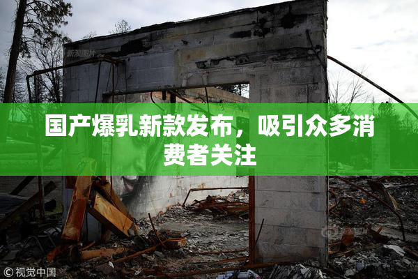 国产爆乳新款发布，吸引众多消费者关注