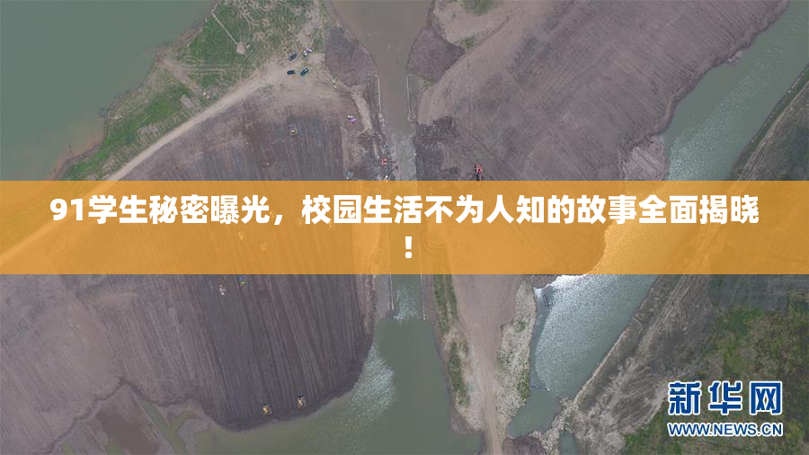 91学生秘密曝光，校园生活不为人知的故事全面揭晓！