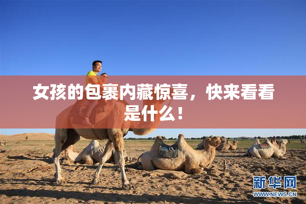 女孩的包裹内藏惊喜，快来看看是什么！