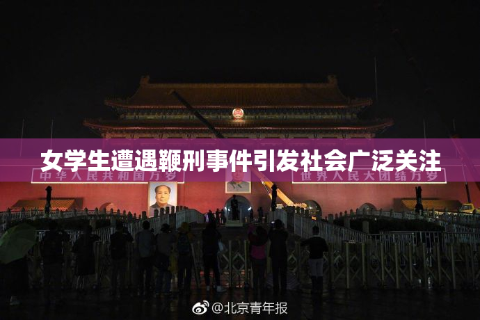 女学生遭遇鞭刑事件引发社会广泛关注