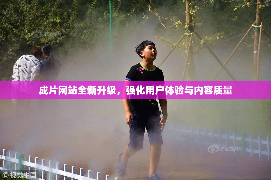 成片网站全新升级，强化用户体验与内容质量