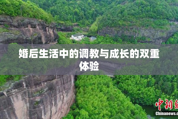 婚后生活中的调教与成长的双重体验