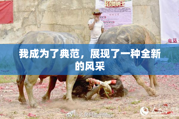 我成为了典范，展现了一种全新的风采