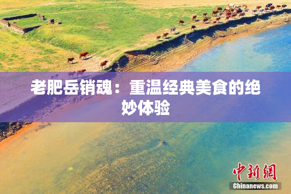 老肥岳销魂：重温经典美食的绝妙体验