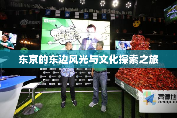 东京的东边风光与文化探索之旅