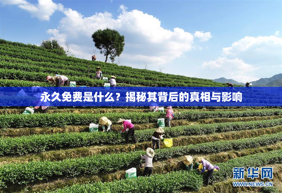 永久免费是什么？揭秘其背后的真相与影响