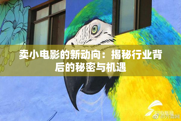 卖小电影的新动向：揭秘行业背后的秘密与机遇