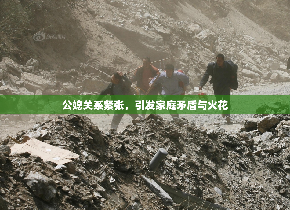 公媳关系紧张，引发家庭矛盾与火花