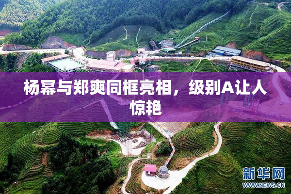 杨幂与郑爽同框亮相，级别A让人惊艳