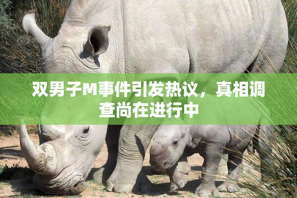 双男子M事件引发热议，真相调查尚在进行中