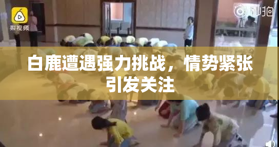 白鹿遭遇强力挑战，情势紧张引发关注