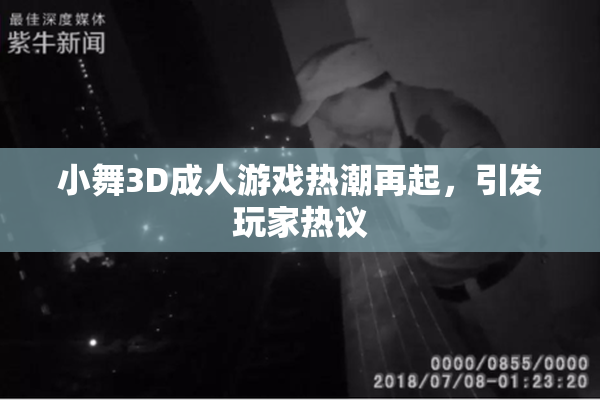 小舞3D成人游戏热潮再起，引发玩家热议