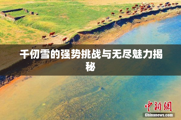 千仞雪的强势挑战与无尽魅力揭秘