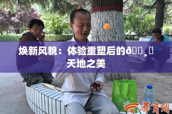 焕新风貌：体验重塑后的🌸‌天地之美