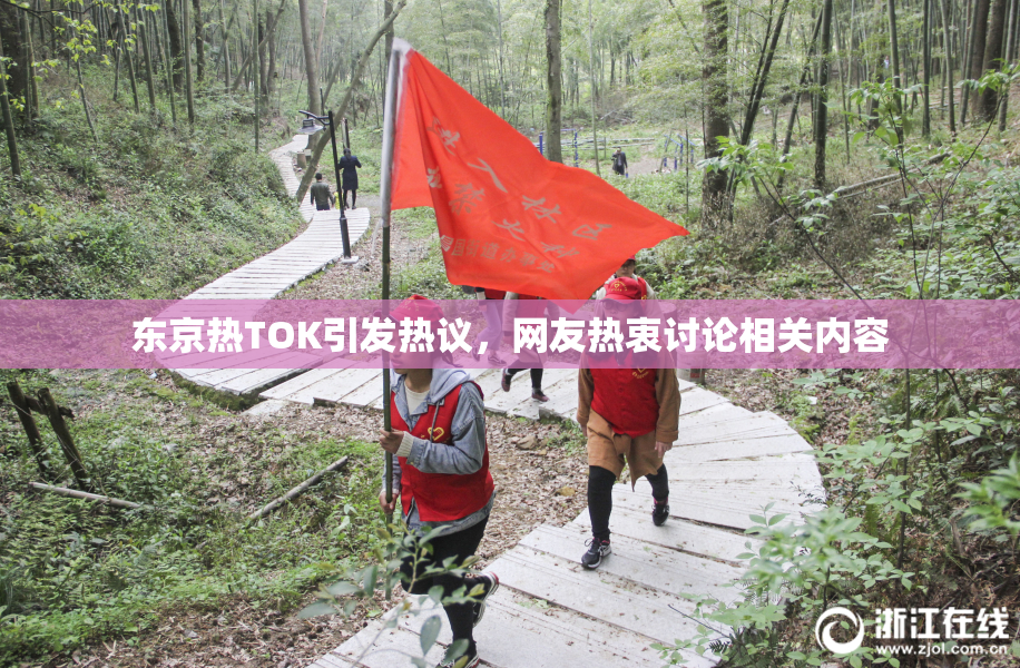 东京热TOK引发热议，网友热衷讨论相关内容