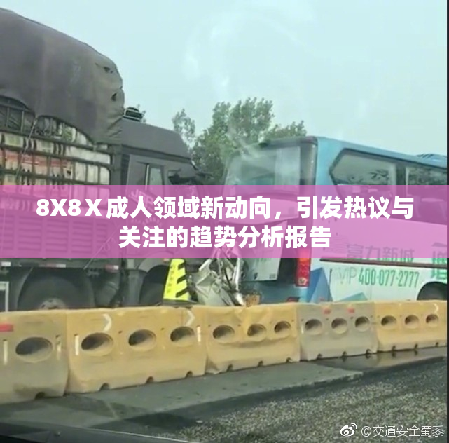 8X8Ⅹ成人领域新动向，引发热议与关注的趋势分析报告