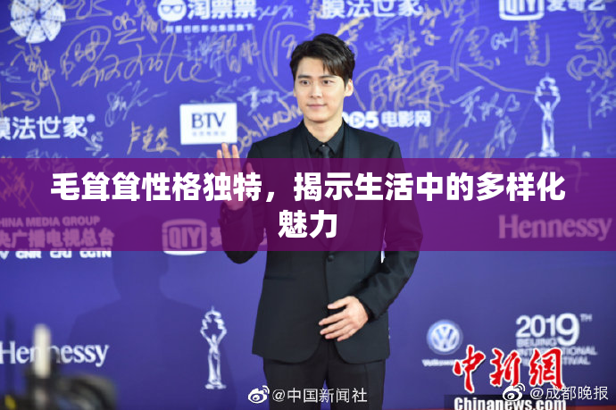 毛耸耸性格独特，揭示生活中的多样化魅力