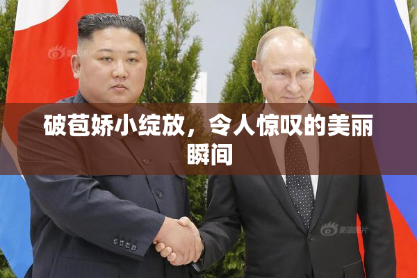 破苞娇小绽放，令人惊叹的美丽瞬间