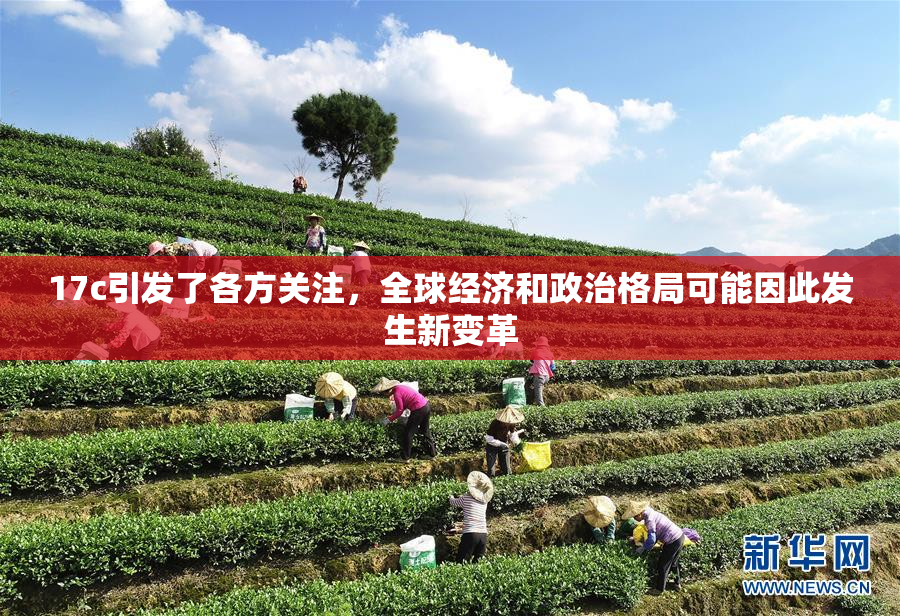 17c引发了各方关注，全球经济和政治格局可能因此发生新变革