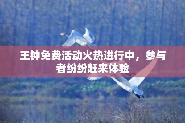 王钟免费活动火热进行中，参与者纷纷赶来体验