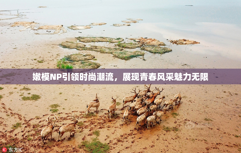 嫩模NP引领时尚潮流，展现青春风采魅力无限