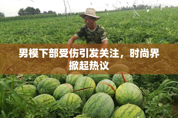 男模下部受伤引发关注，时尚界掀起热议