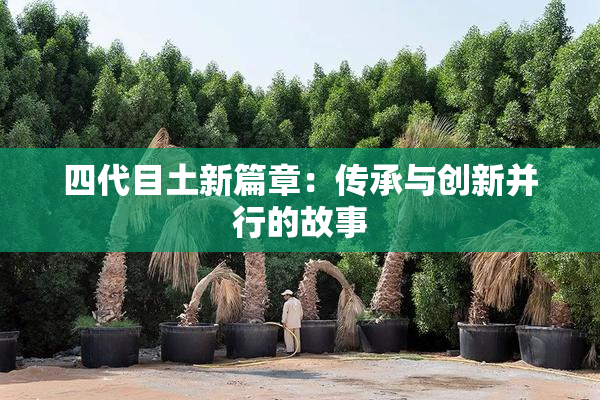 四代目土新篇章：传承与创新并行的故事
