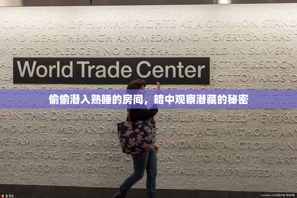偷偷潜入熟睡的房间，暗中观察潜藏的秘密
