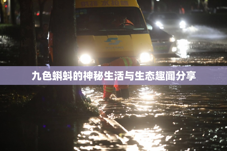 九色蝌蚪的神秘生活与生态趣闻分享