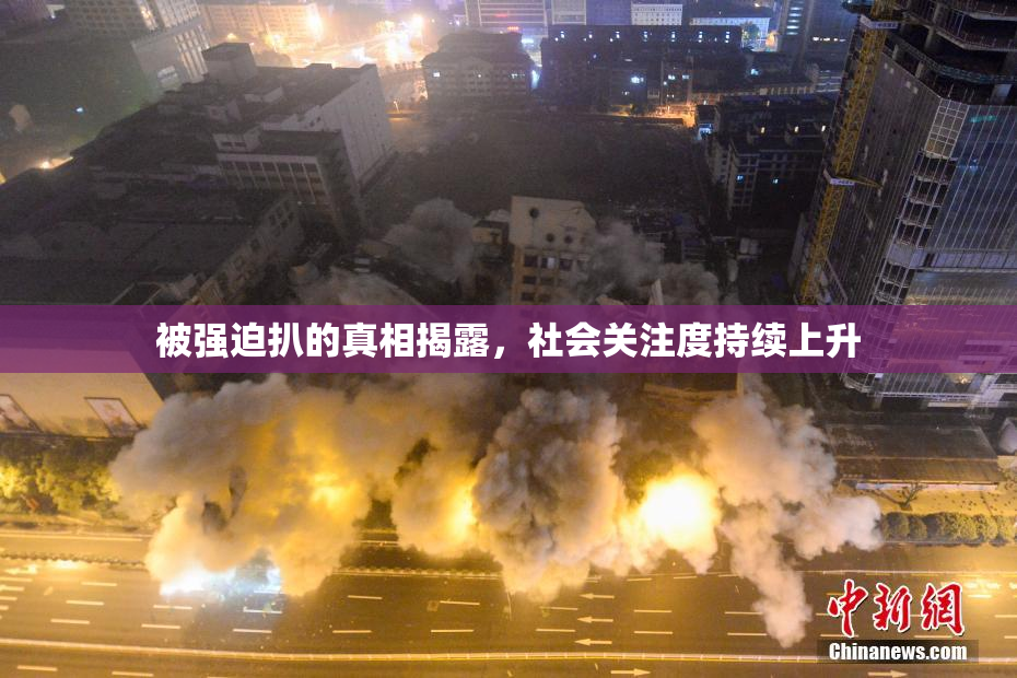 被强迫扒的真相揭露，社会关注度持续上升