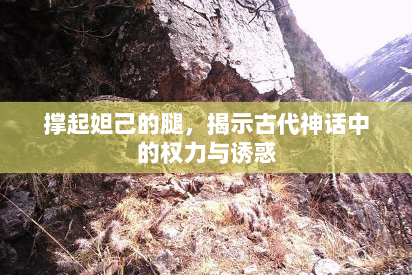 撑起妲己的腿，揭示古代神话中的权力与诱惑