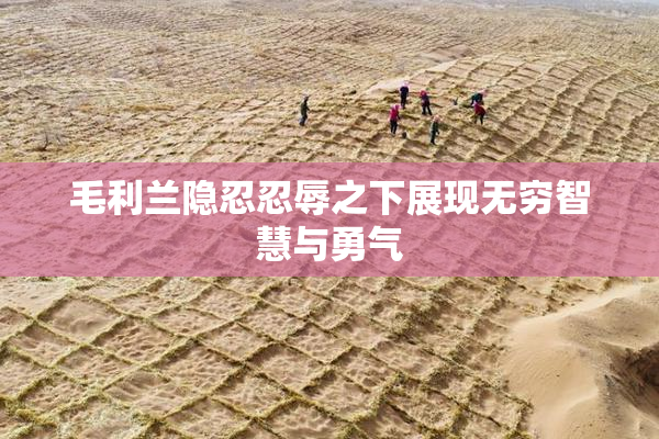 毛利兰隐忍忍辱之下展现无穷智慧与勇气