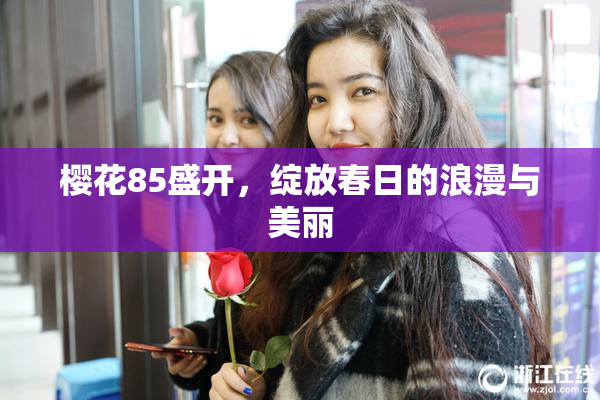 樱花85盛开，绽放春日的浪漫与美丽