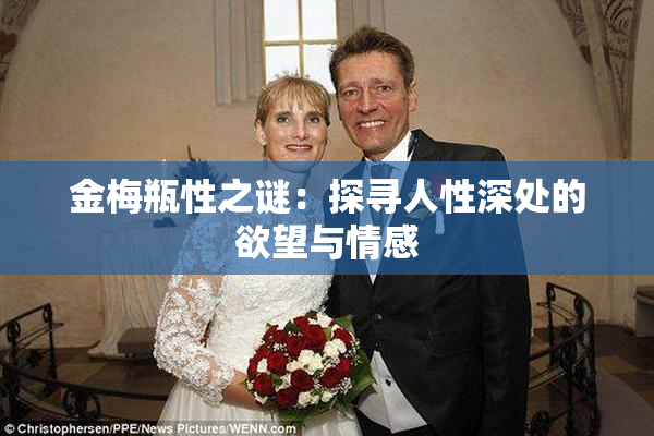 金梅瓶性之谜：探寻人性深处的欲望与情感
