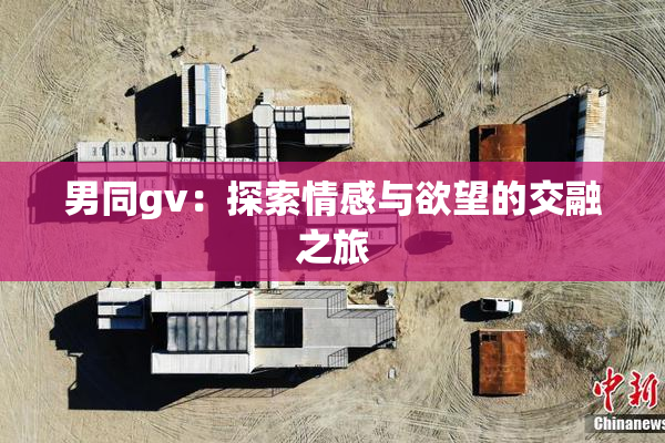 男同gv：探索情感与欲望的交融之旅