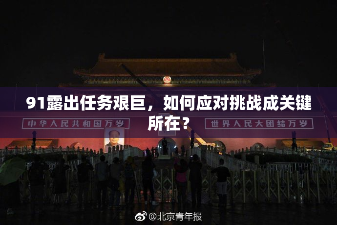 91露出任务艰巨，如何应对挑战成关键所在？