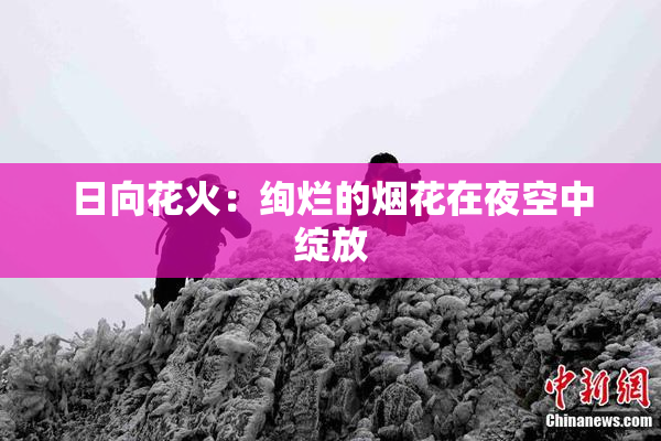 日向花火：绚烂的烟花在夜空中绽放