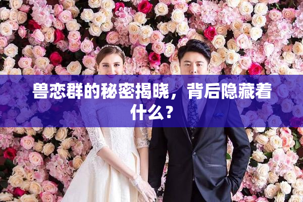 兽恋群的秘密揭晓，背后隐藏着什么？