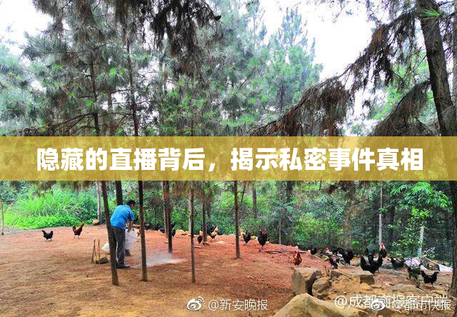 隐藏的直播背后，揭示私密事件真相