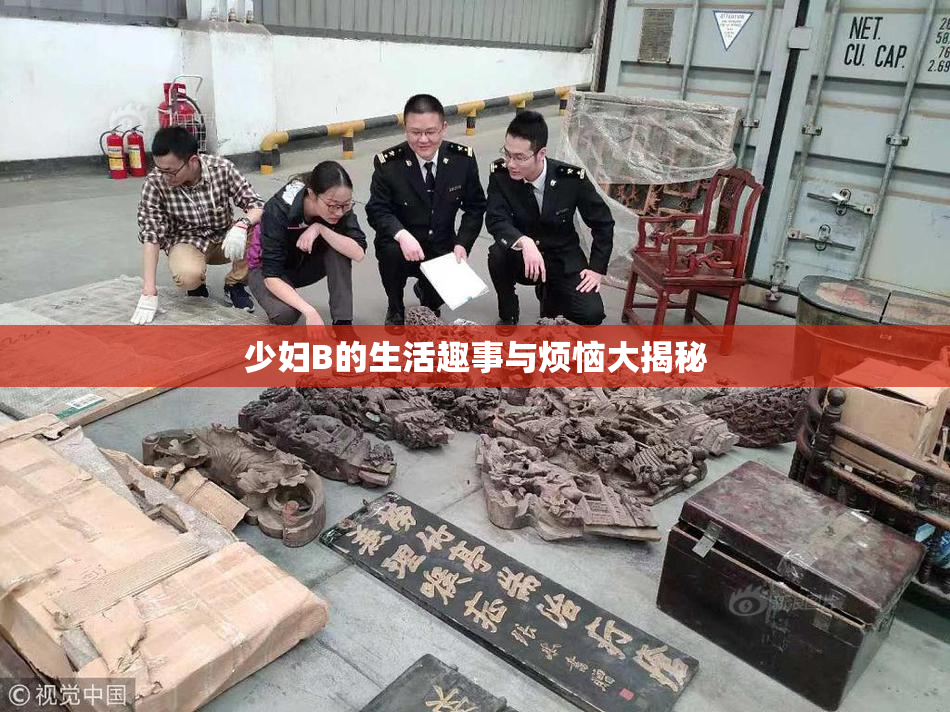 少妇B的生活趣事与烦恼大揭秘