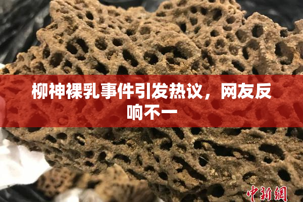 柳神裸乳事件引发热议，网友反响不一